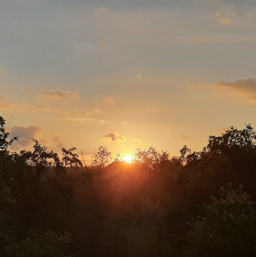 Bild eines Sonnenunterganges
